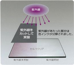 紫外線を遮蔽した側は元のまま、紫外線をあてた側はインクが分解されました。